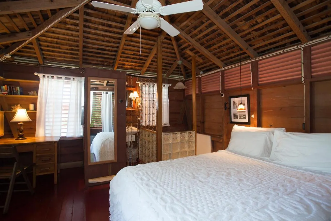 Llantrissant Beachcliff Villa Negril